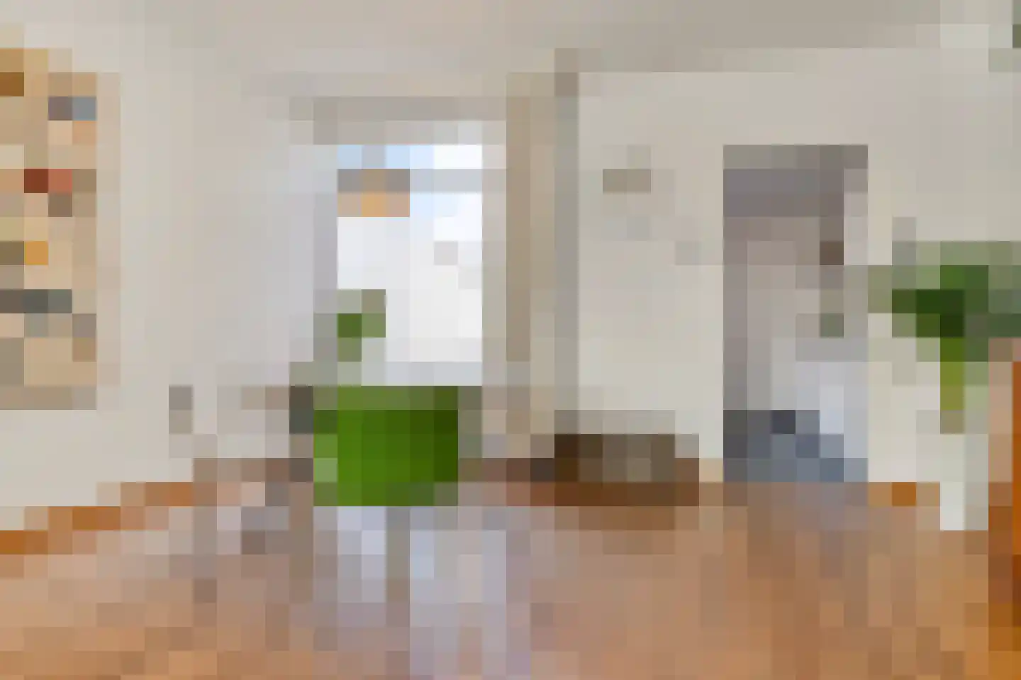 Philips Vingboonsstraat 63 Tilburg thumbnail 9