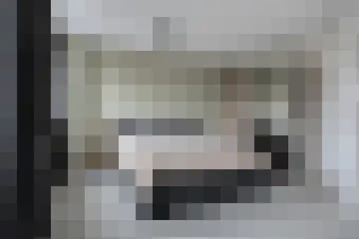Philips Vingboonsstraat 9 Tilburg thumbnail 12