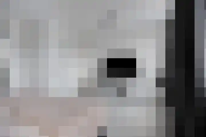 Philips Vingboonsstraat 9 Tilburg thumbnail 13