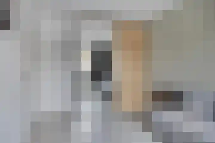 Philips Vingboonsstraat 9 Tilburg thumbnail 16