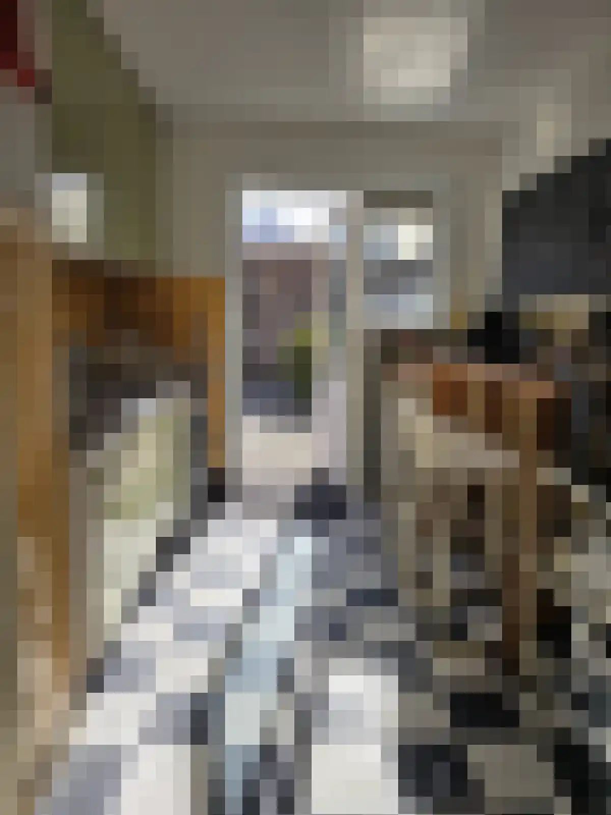 Philips Vingboonsstraat Tilburg thumbnail 6