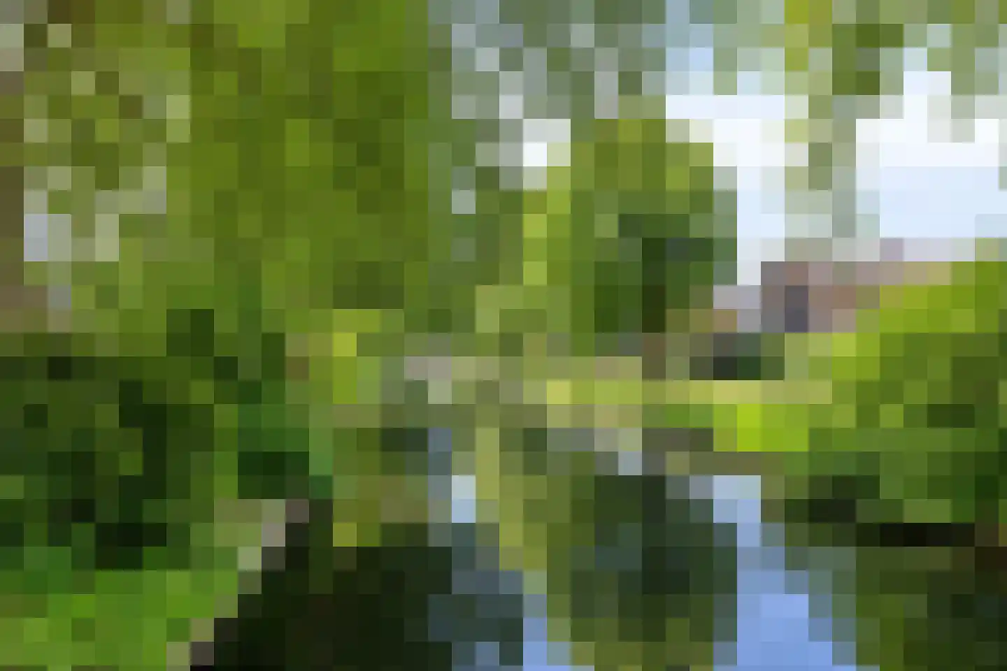 Philips Willemplantsoen 13 IJsselstein thumbnail 44