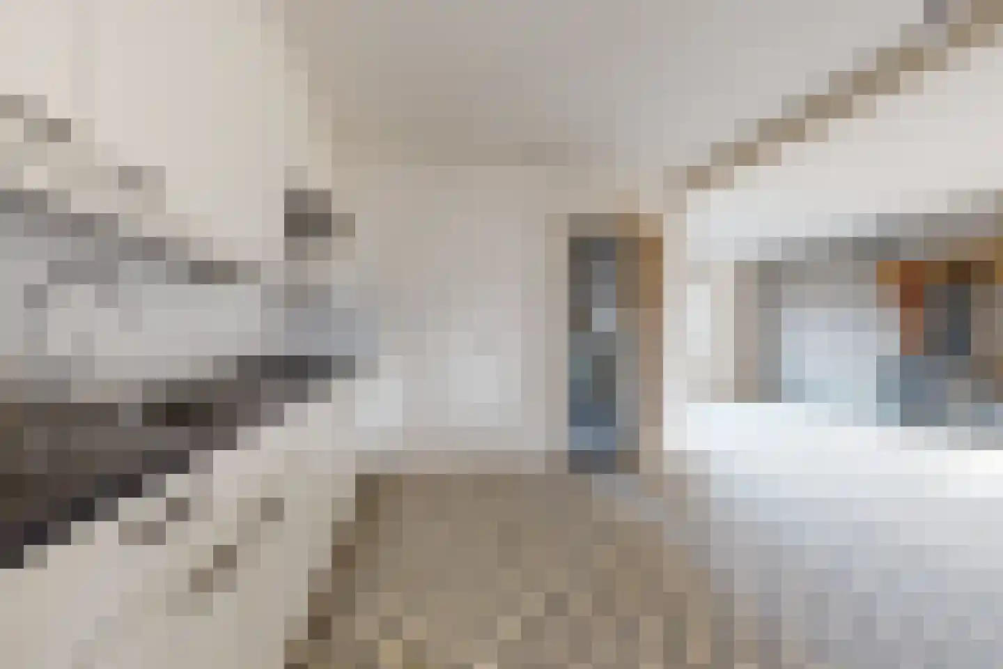 Philips Willemstraat 1 Dinteloord thumbnail 11