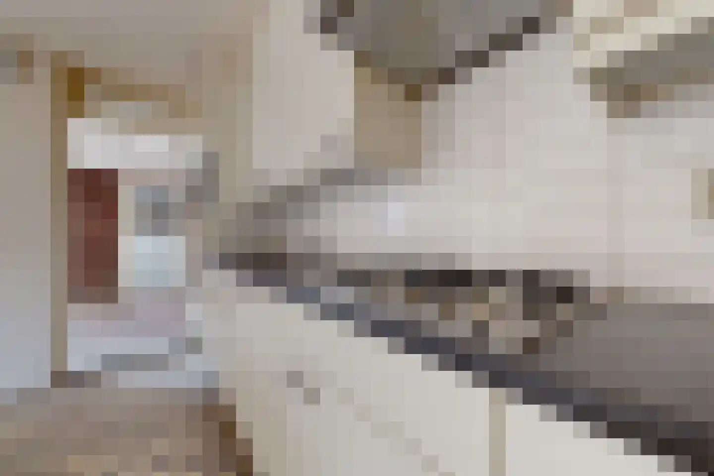 Philips Willemstraat 1 Dinteloord thumbnail 12