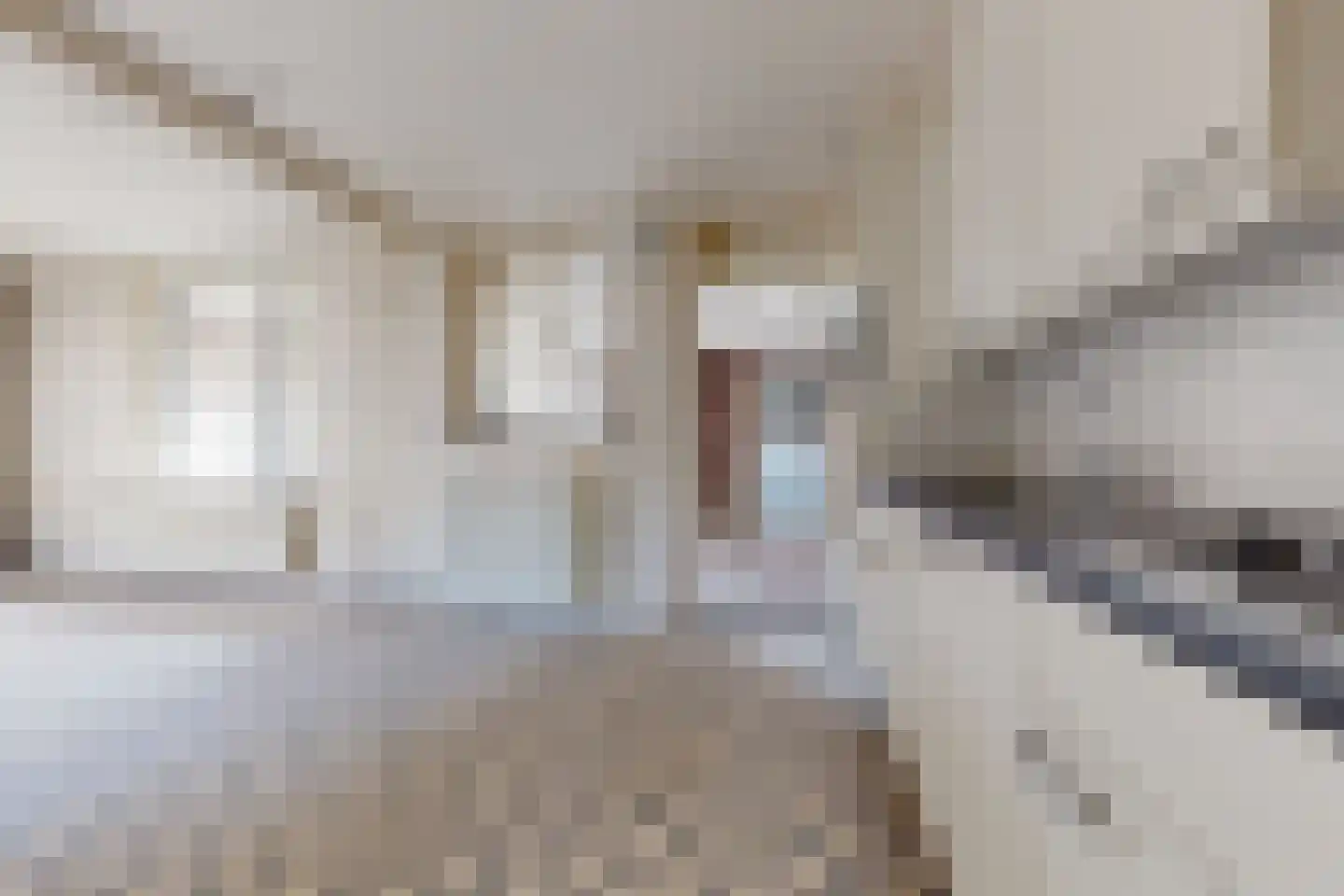 Philips Willemstraat 1 Dinteloord thumbnail 13