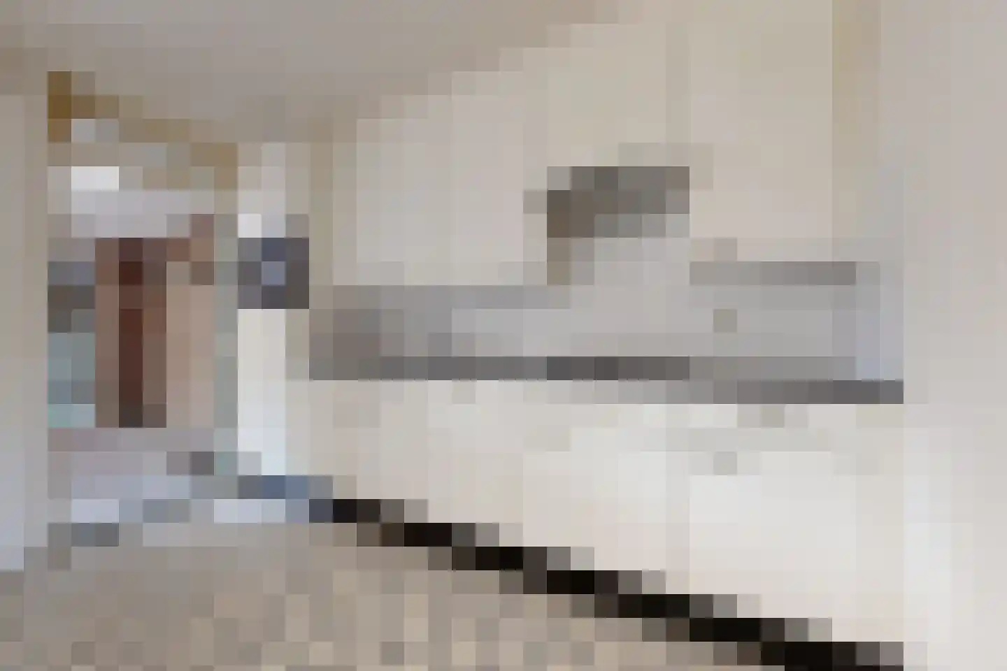 Philips Willemstraat 1 Dinteloord thumbnail 14