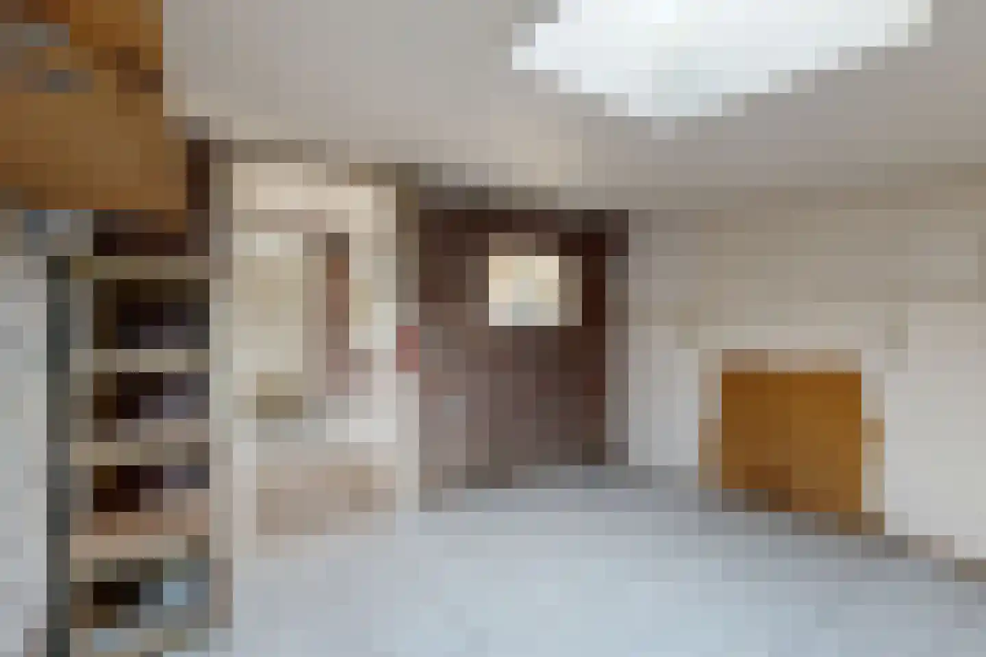Philips Willemstraat 1 Dinteloord thumbnail 33
