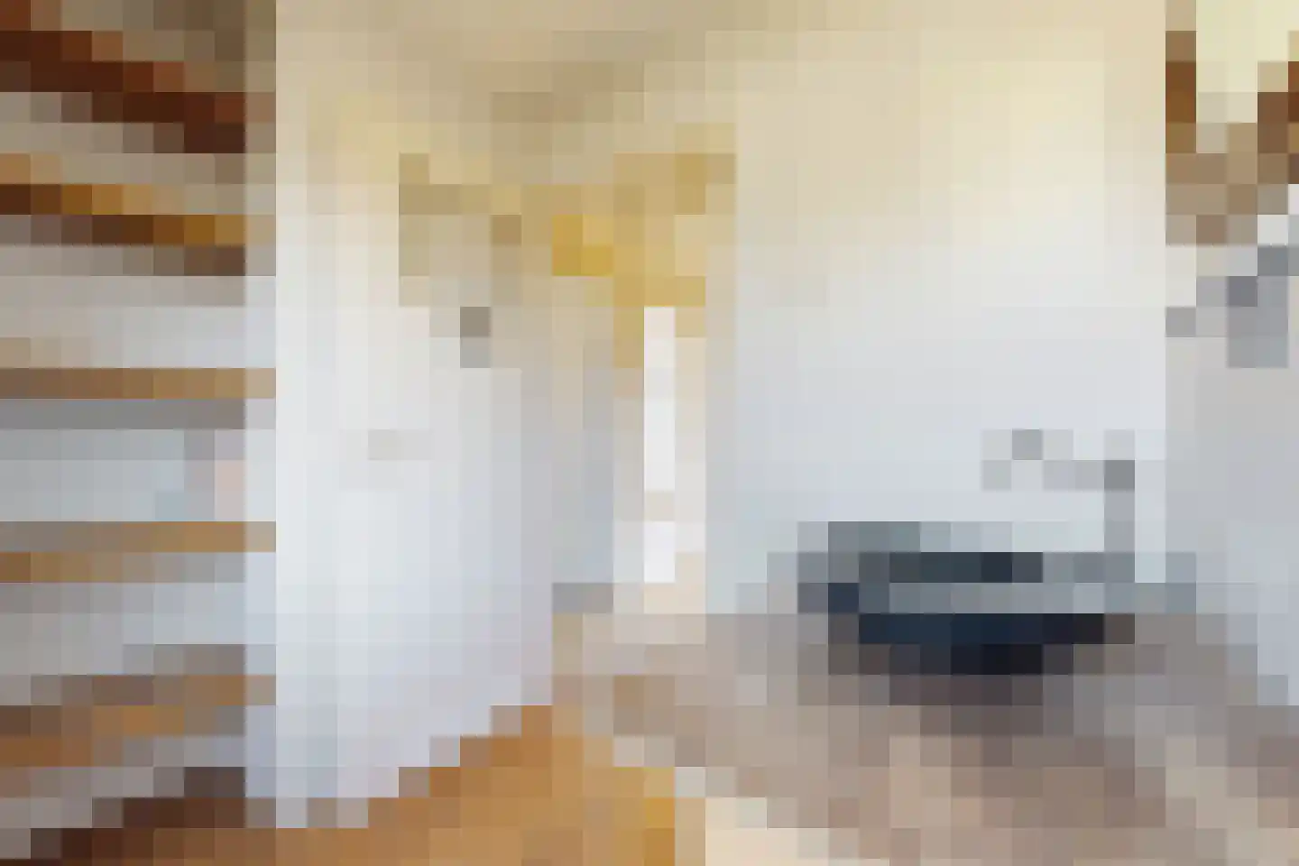 Philips Willemstraat 1 Dinteloord thumbnail 49