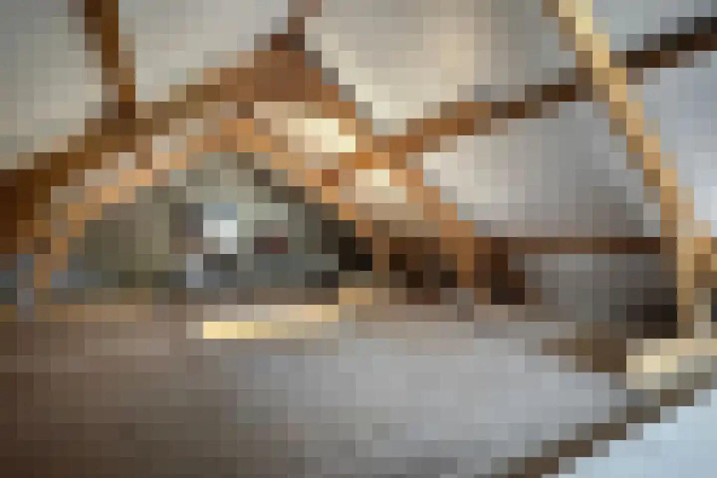 Philips Willemstraat 1 Dinteloord thumbnail 53