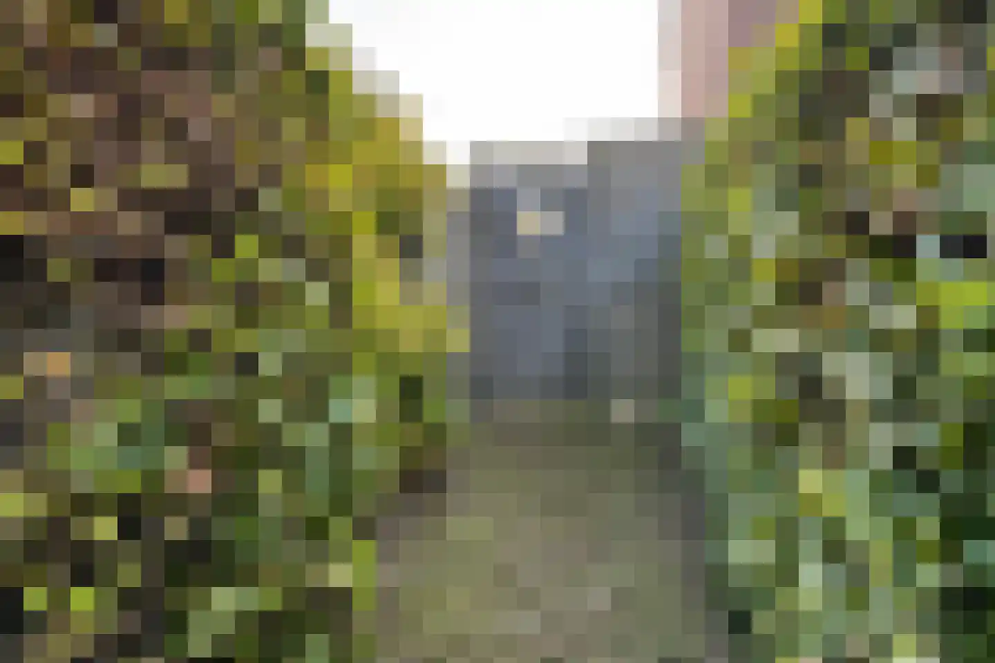 Philips Willemstraat 1 Dinteloord thumbnail 55