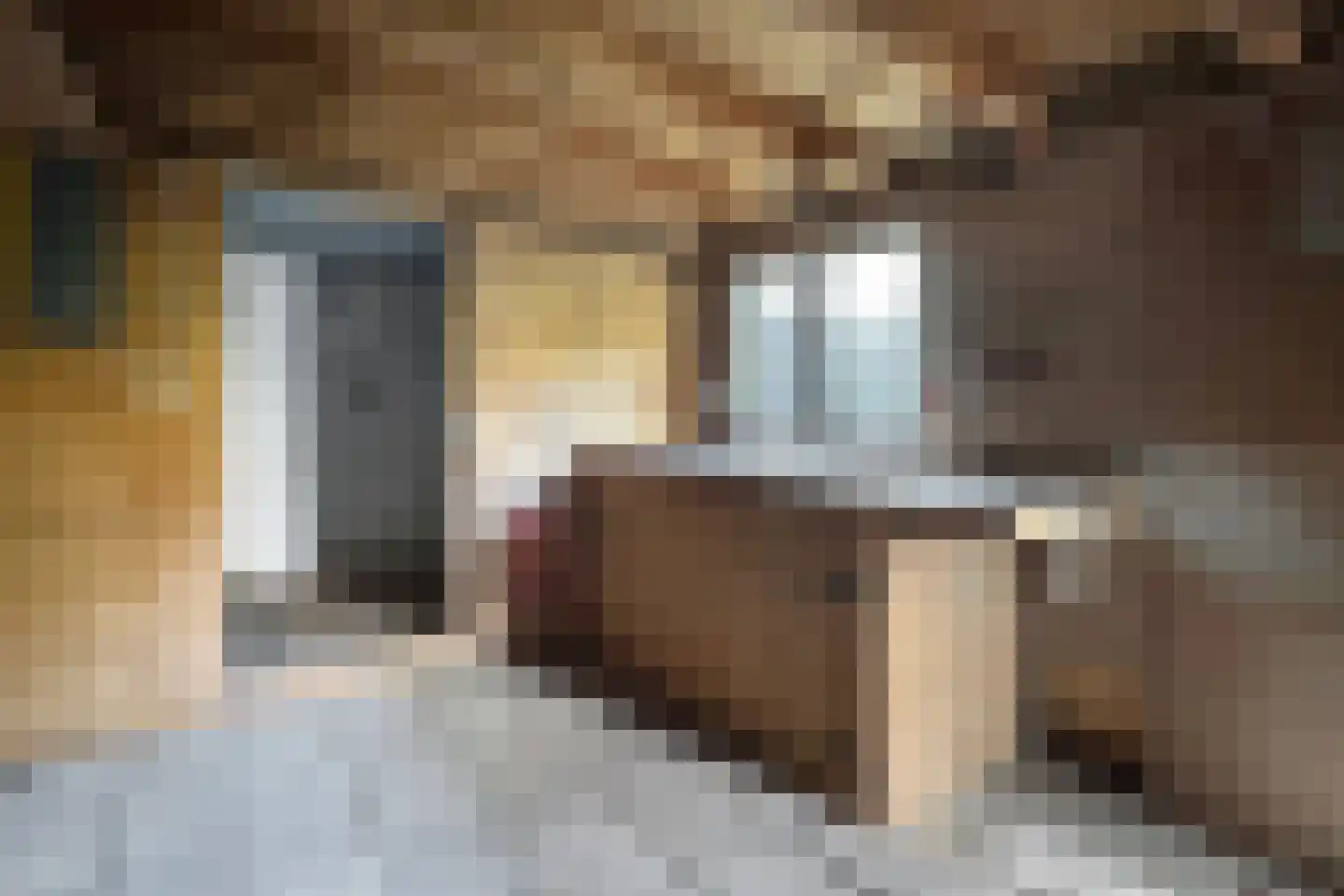 Philips Willemstraat 1 Dinteloord thumbnail 62