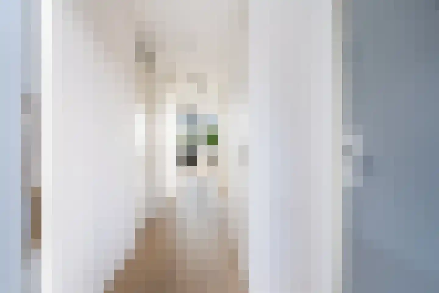 Philips Willemstraat 119 Rotterdam thumbnail 11