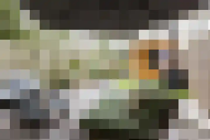 Philips Willemstraat 14 A Rotterdam thumbnail 36