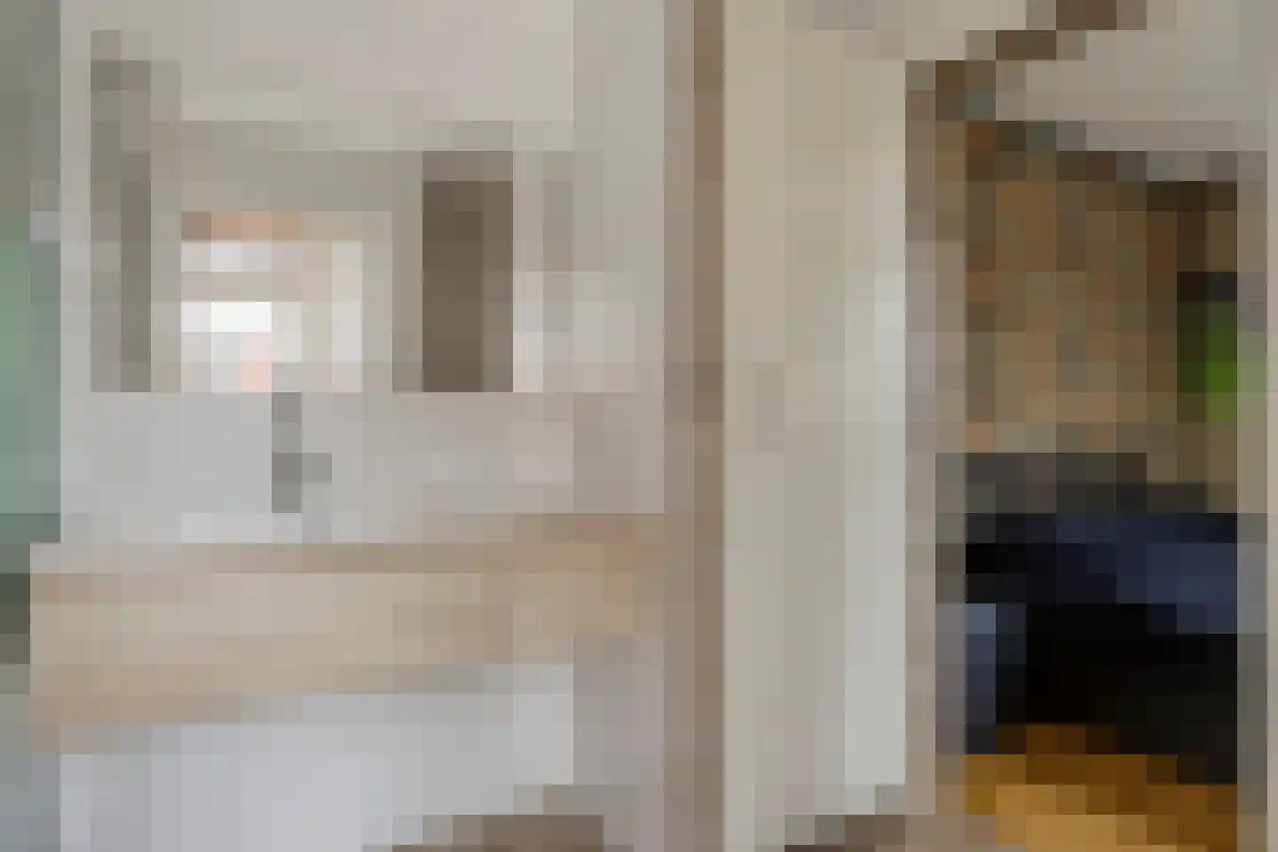 Philips Willemstraat 15 Dinteloord thumbnail 16