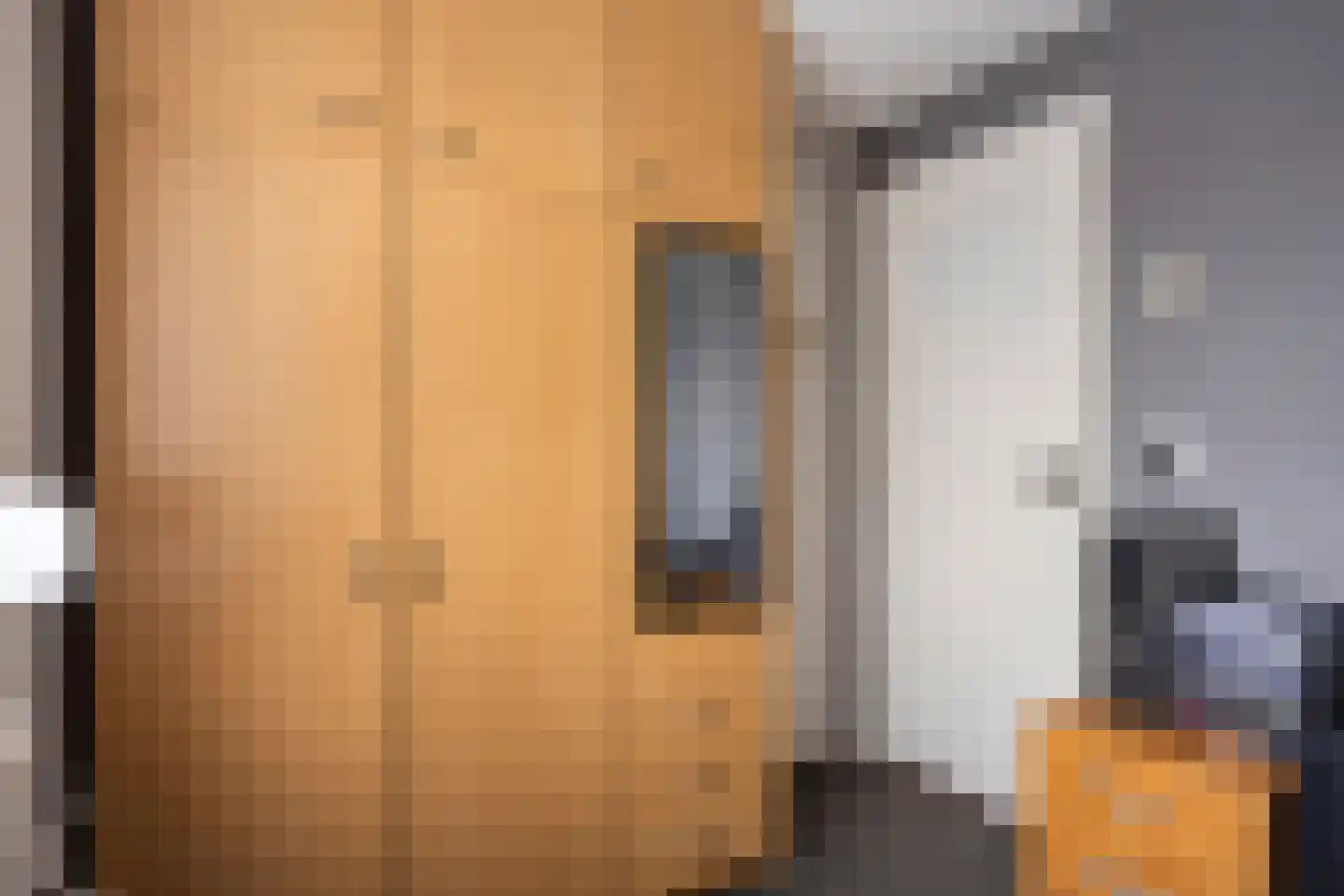 Philips Willemstraat 15 Dinteloord thumbnail 20
