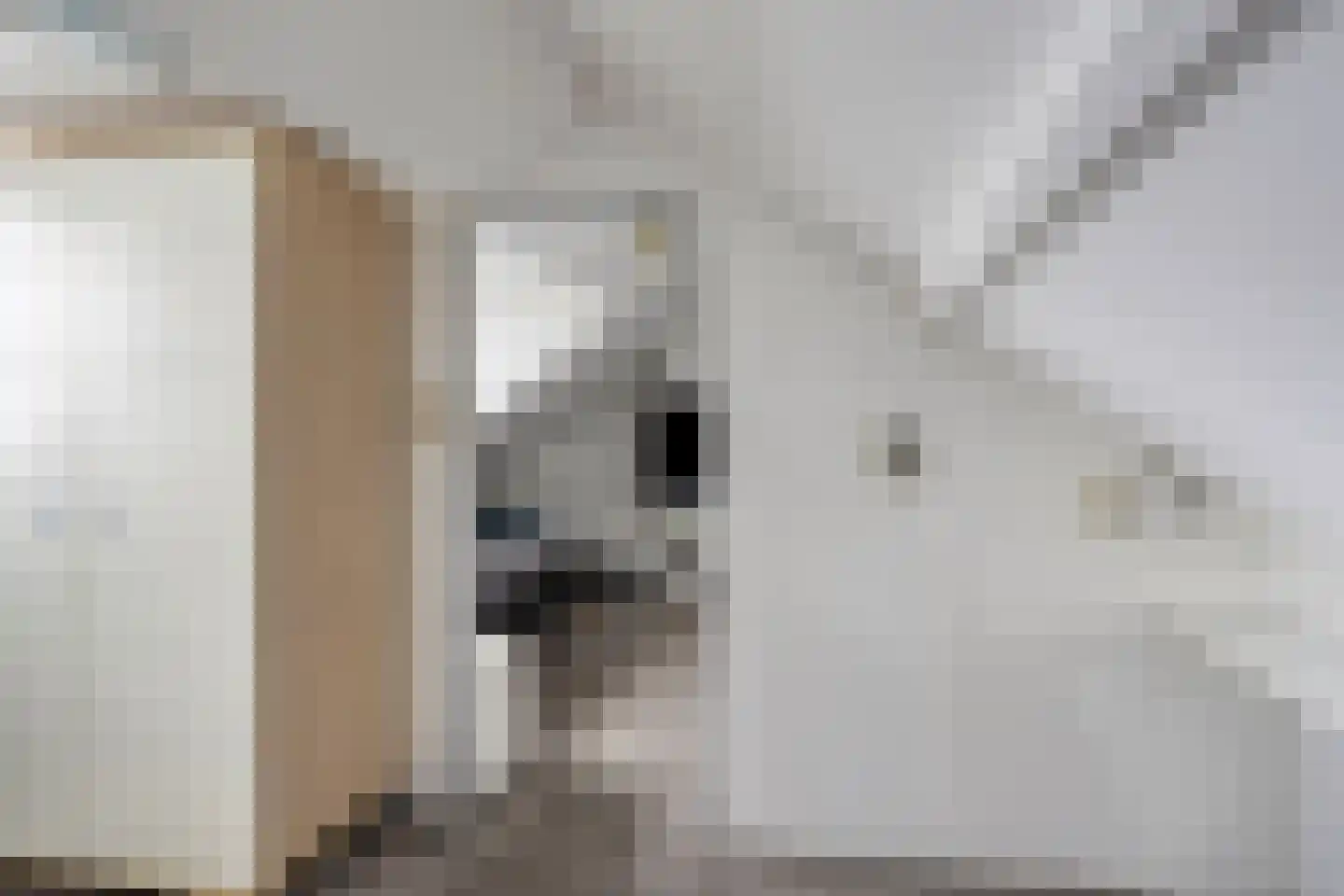 Philips Willemstraat 15 Dinteloord thumbnail 29