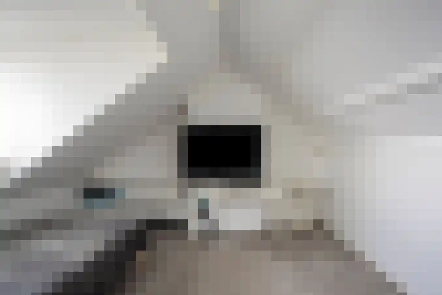 Philips Willemstraat 15 Dinteloord thumbnail 30