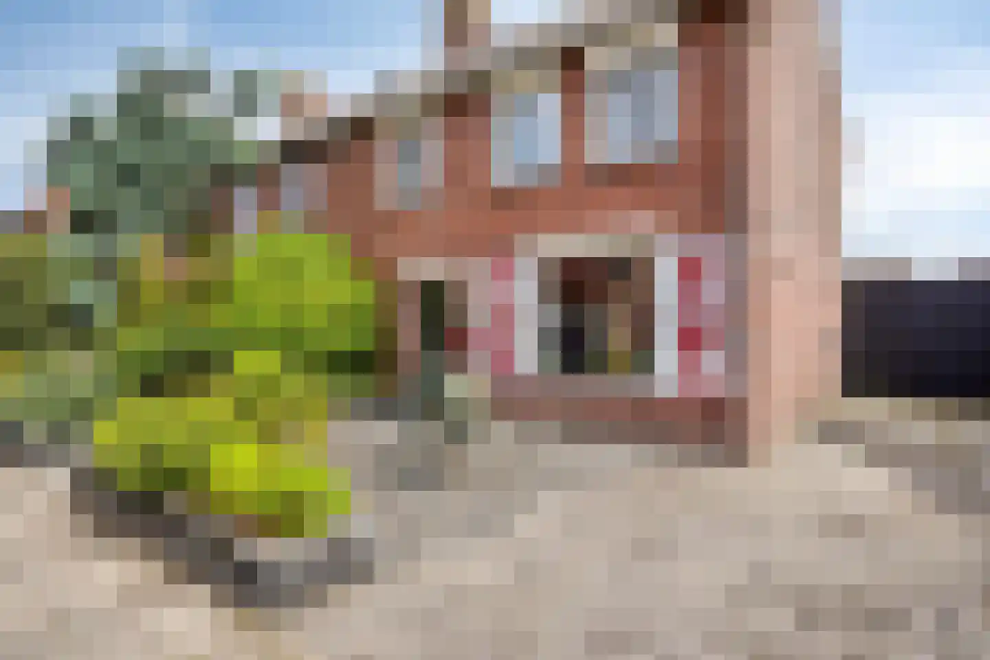 Philips Willemstraat 15 Dinteloord thumbnail 43