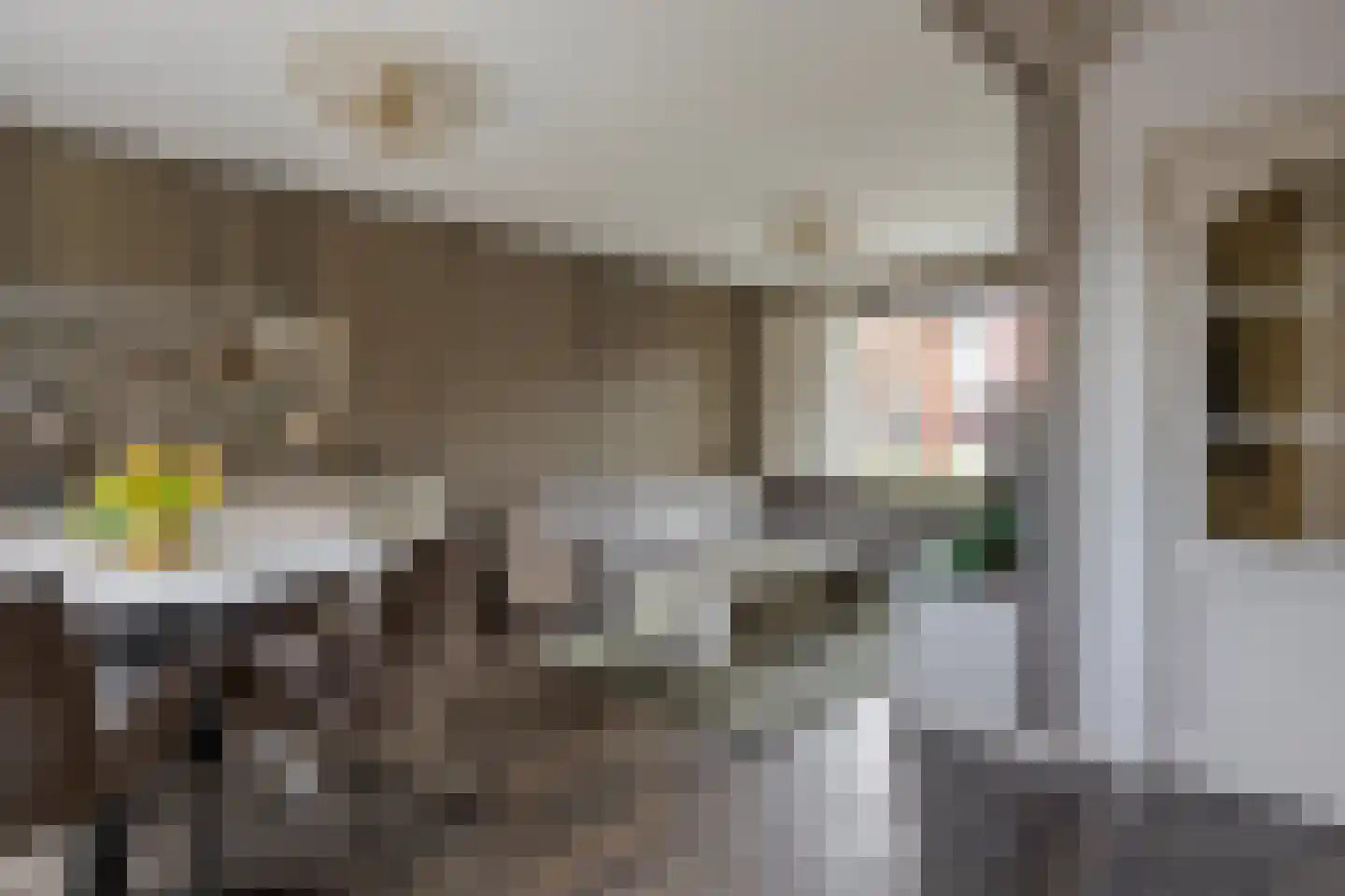 Philips Willemstraat 15 Dinteloord thumbnail 5