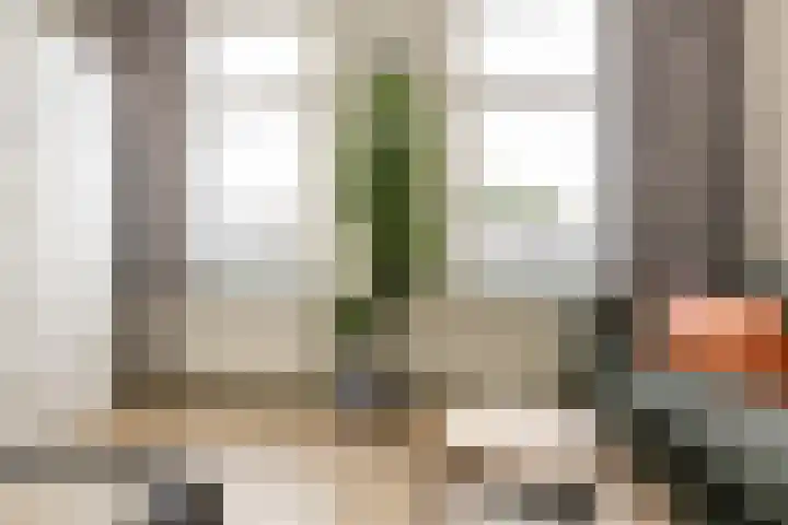 Philips Willemstraat 24 B 02 Rotterdam thumbnail 20