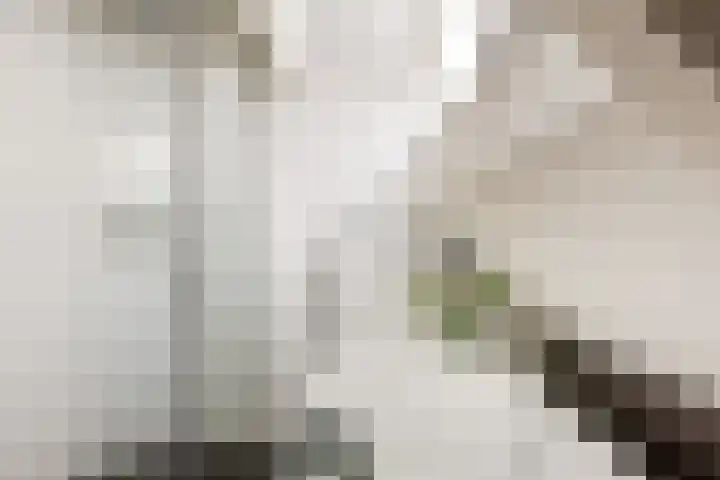 Philips Willemstraat 24 B 02 Rotterdam thumbnail 32