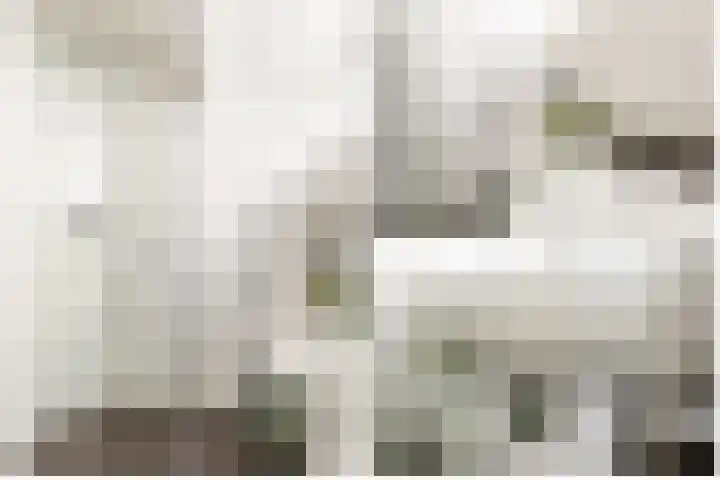 Philips Willemstraat 24 B 02 Rotterdam thumbnail 33