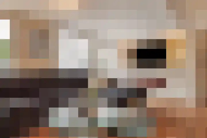 Philips Willemstraat 3 Dinteloord thumbnail 10