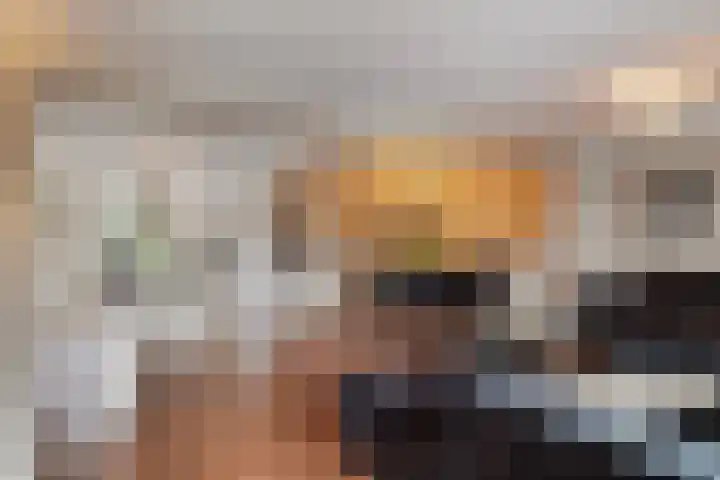 Philips Willemstraat 3 Dinteloord thumbnail 12