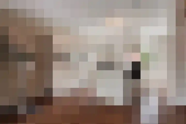 Philips Willemstraat 3 Dinteloord thumbnail 17