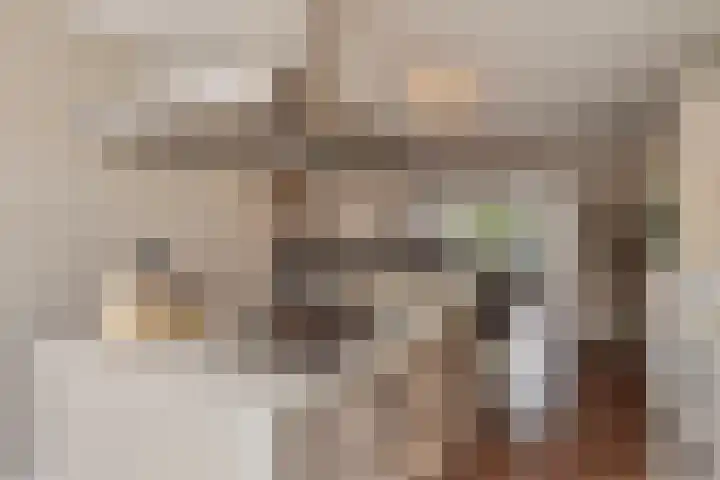 Philips Willemstraat 3 Dinteloord thumbnail 20