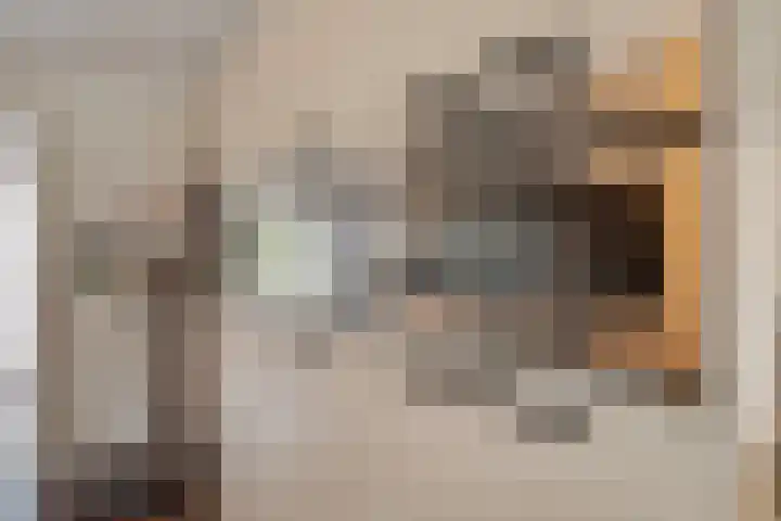 Philips Willemstraat 3 Dinteloord thumbnail 22