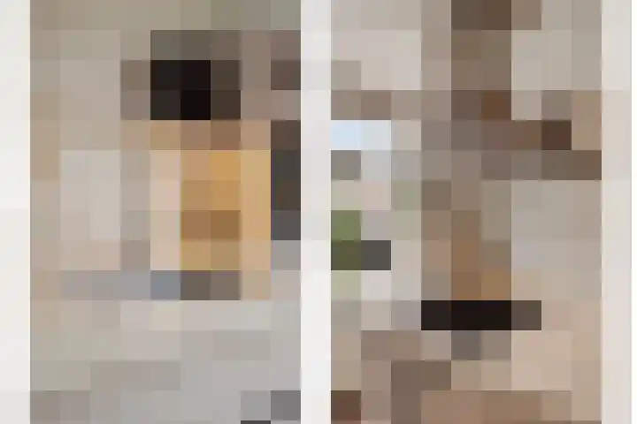 Philips Willemstraat 3 Dinteloord thumbnail 23