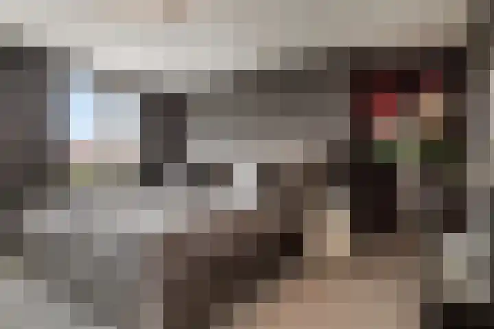 Philips Willemstraat 3 Dinteloord thumbnail 26