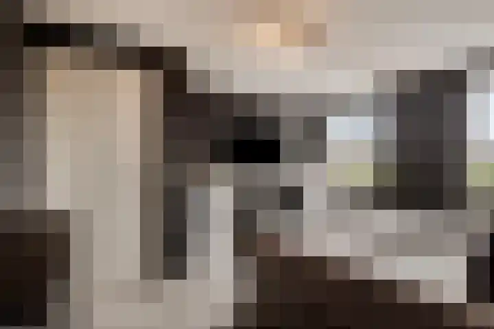Philips Willemstraat 3 Dinteloord thumbnail 27