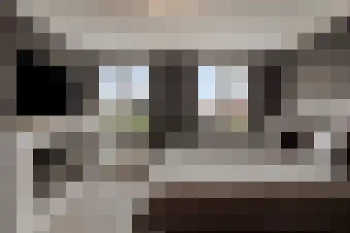 Philips Willemstraat 3 Dinteloord thumbnail 28