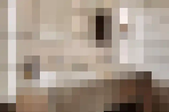 Philips Willemstraat 3 Dinteloord thumbnail 37