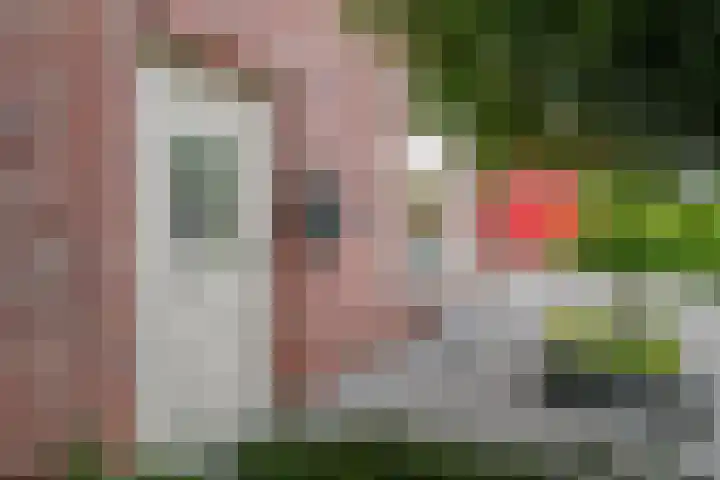 Philips Willemstraat 3 Dinteloord thumbnail 4