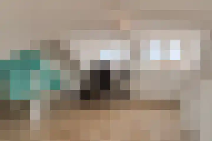 Philips Willemstraat 3 Dinteloord thumbnail 42