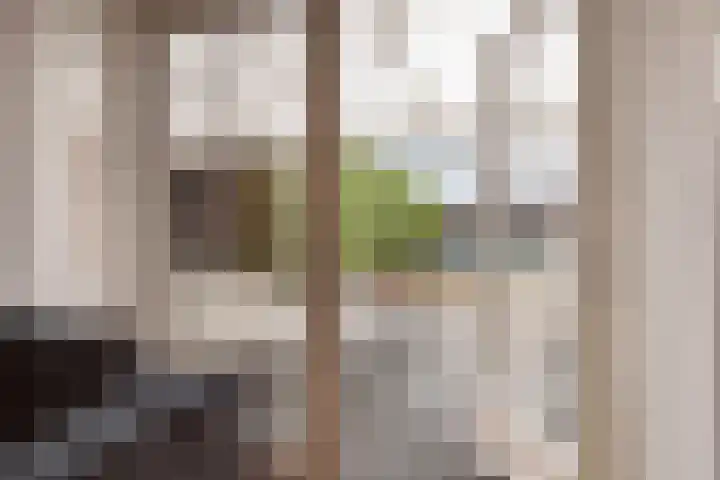 Philips Willemstraat 3 Dinteloord thumbnail 43
