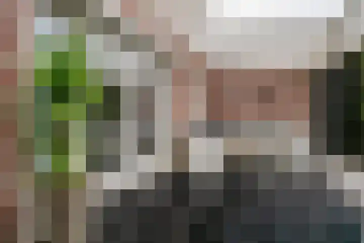 Philips Willemstraat 3 Dinteloord thumbnail 44