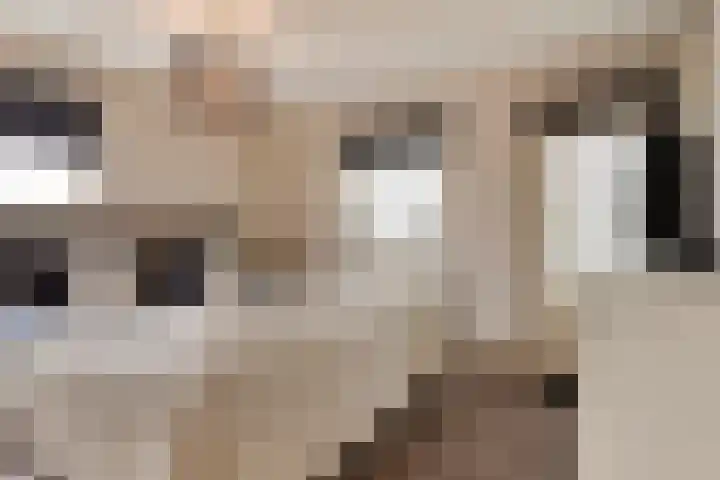 Philips Willemstraat 3 Dinteloord thumbnail 54