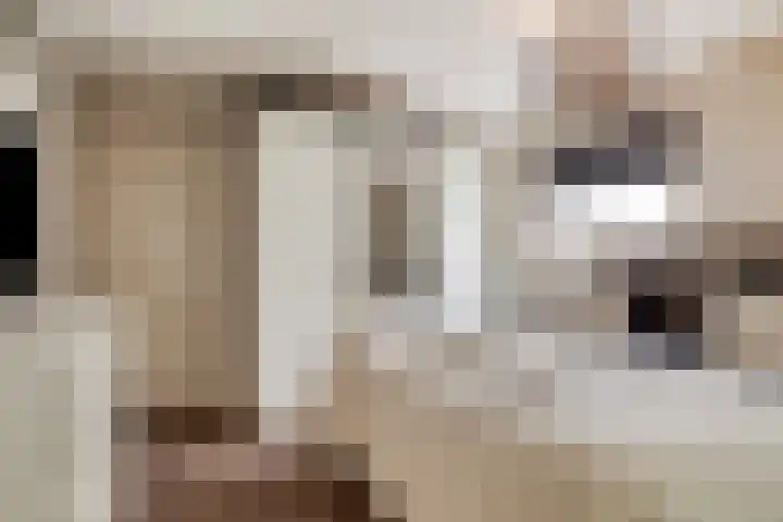 Philips Willemstraat 3 Dinteloord thumbnail 55