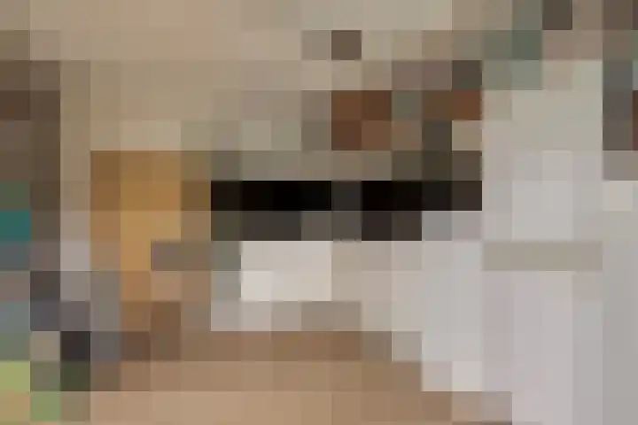 Philips Willemstraat 3 Dinteloord thumbnail 64