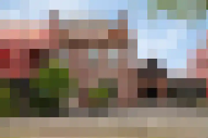 Philips Willemstraat 3 Dinteloord thumbnail 67