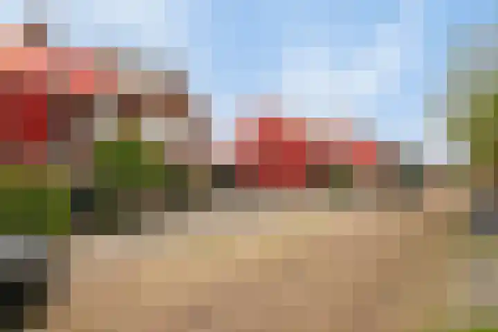 Philips Willemstraat 3 Dinteloord thumbnail 69
