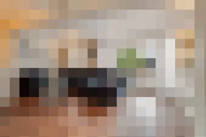 Philips Willemstraat 3 Dinteloord thumbnail 8