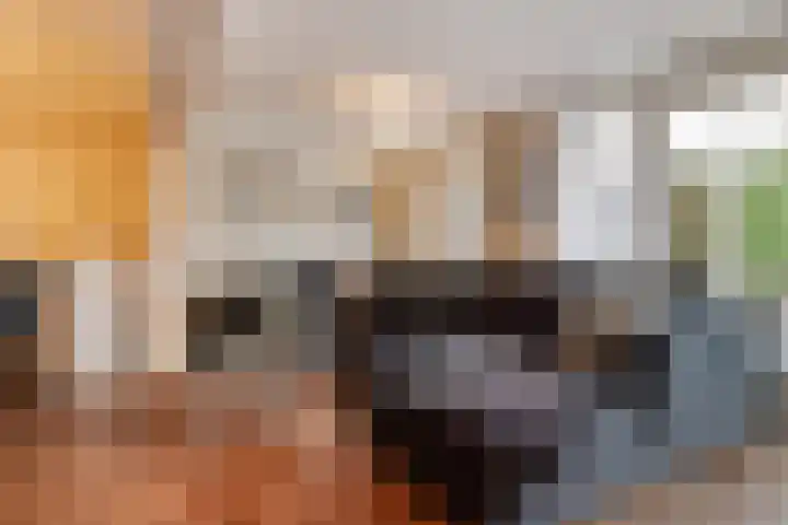Philips Willemstraat 3 Dinteloord thumbnail 9