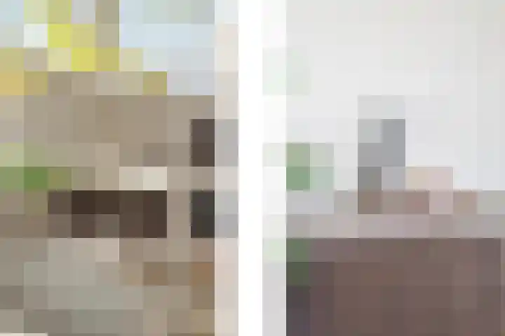 Philips Willemstraat 36 Rotterdam thumbnail 4