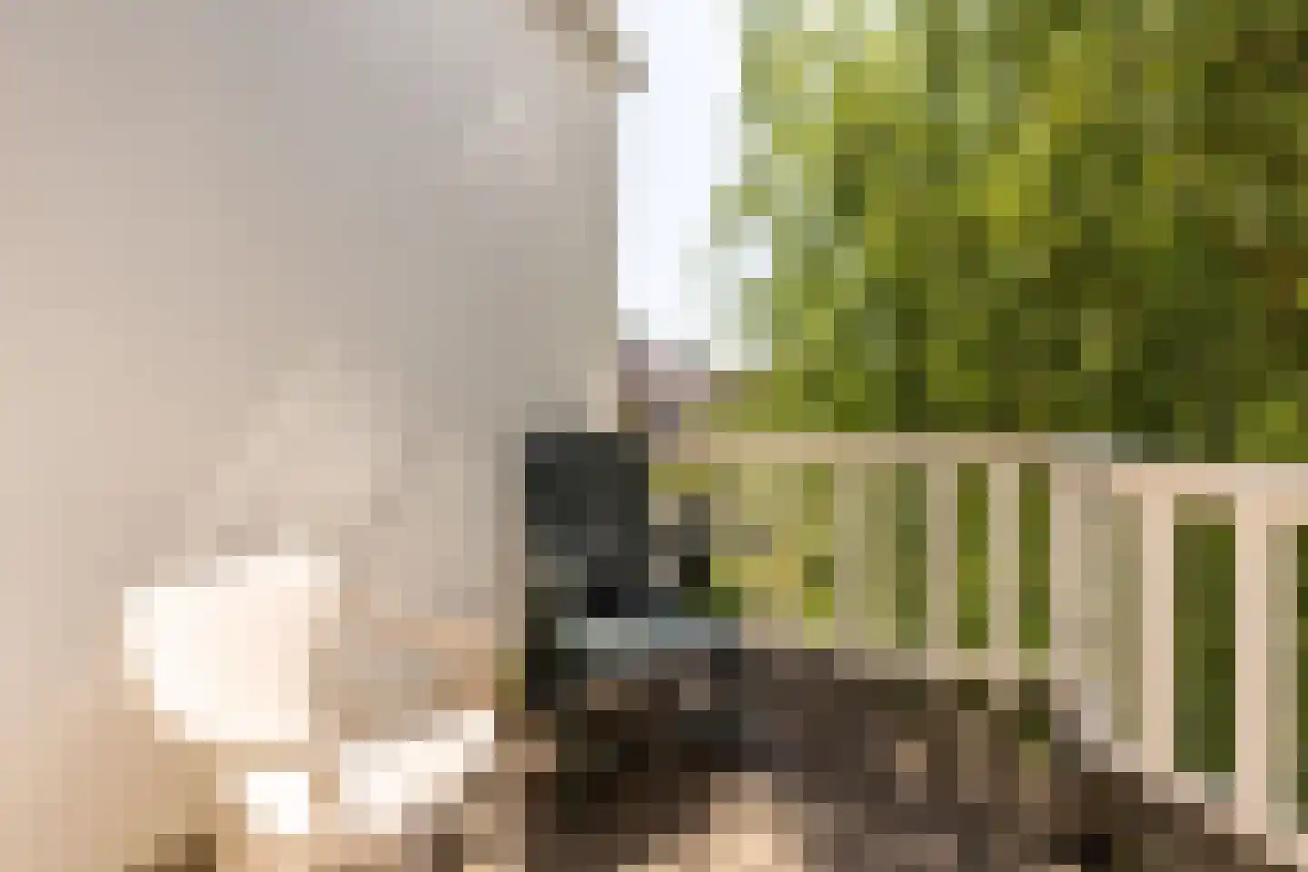 Philips Willemstraat 37 B Rotterdam thumbnail 12