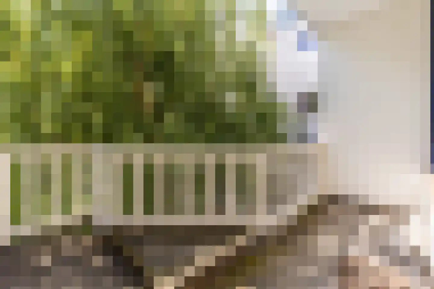 Philips Willemstraat 37 B Rotterdam thumbnail 13